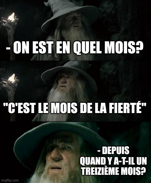 T'abuses là chef. | - ON EST EN QUEL MOIS? "C'EST LE MOIS DE LA FIERTÉ"; - DEPUIS QUAND Y A-T-IL UN TREIZIÈME MOIS? | image tagged in memes,confused gandalf,pride,lgbtq,french,france | made w/ Imgflip meme maker