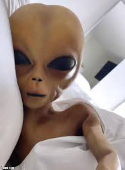 face reveal | made w/ Imgflip meme maker