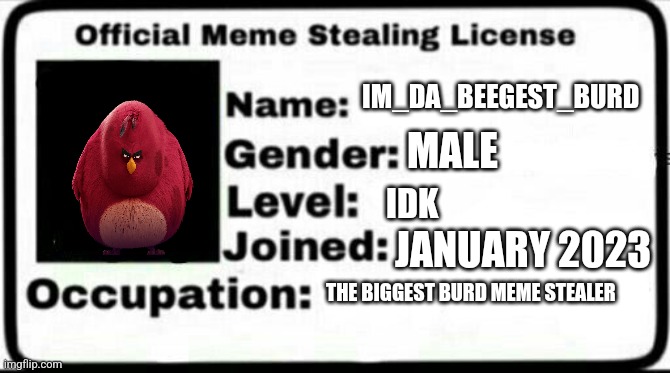 Meme Stealing License | IM_DA_BEEGEST_BURD MALE IDK JANUARY 2023 THE BIGGEST BURD MEME STEALER | image tagged in meme stealing license | made w/ Imgflip meme maker