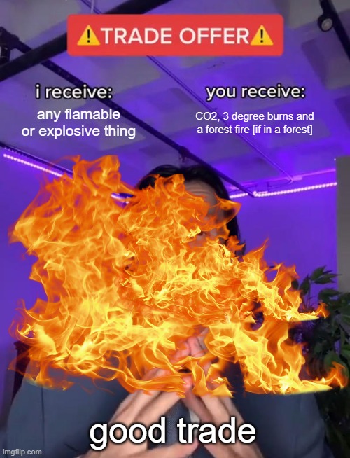 how fire works | any flamable or explosive thing; CO2, 3 degree burns and a forest fire [if in a forest]; good trade | image tagged in trade offer | made w/ Imgflip meme maker