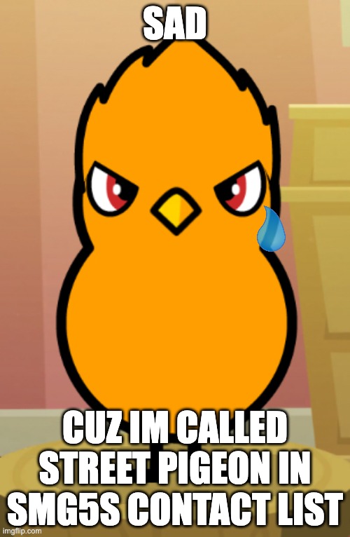 SAD; CUZ IM CALLED STREET PIGEON IN SMG5S CONTACT LIST | image tagged in nathaniel the duck | made w/ Imgflip meme maker