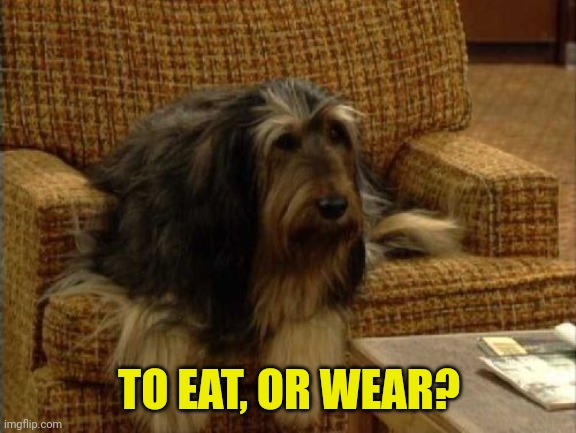 TO EAT, OR WEAR? | made w/ Imgflip meme maker