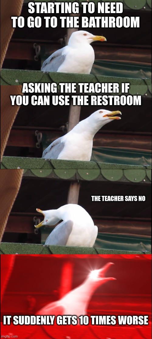 Inhaling Seagull | STARTING TO NEED TO GO TO THE BATHROOM; ASKING THE TEACHER IF YOU CAN USE THE RESTROOM; THE TEACHER SAYS NO; IT SUDDENLY GETS 10 TIMES WORSE | image tagged in memes,inhaling seagull | made w/ Imgflip meme maker