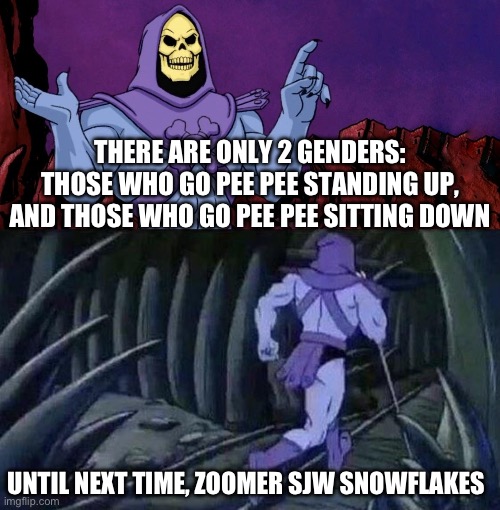 he man skeleton advices | THERE ARE ONLY 2 GENDERS: THOSE WHO GO PEE PEE STANDING UP, AND THOSE WHO GO PEE PEE SITTING DOWN; UNTIL NEXT TIME, ZOOMER SJW SNOWFLAKES | image tagged in he man skeleton advices | made w/ Imgflip meme maker