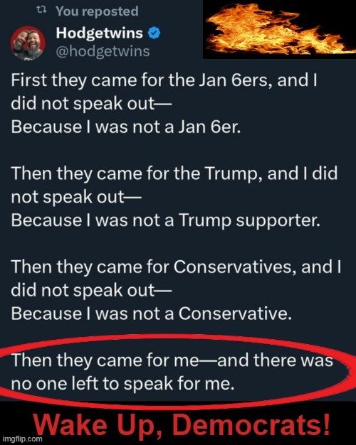 I Did Nazi That Coming | image tagged in liberals vs conservatives,freedom,america,when freedom slips away,i did nazi that coming,truth | made w/ Imgflip meme maker