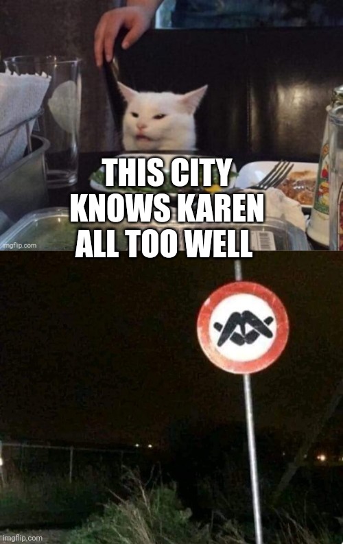 THIS CITY KNOWS KAREN ALL TOO WELL | image tagged in smudge that darn cat | made w/ Imgflip meme maker