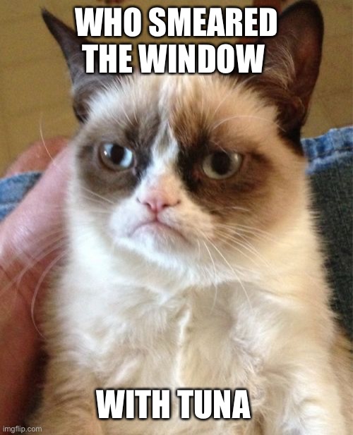 Grumpy Cat Meme | WHO SMEARED THE WINDOW WITH TUNA | image tagged in memes,grumpy cat | made w/ Imgflip meme maker