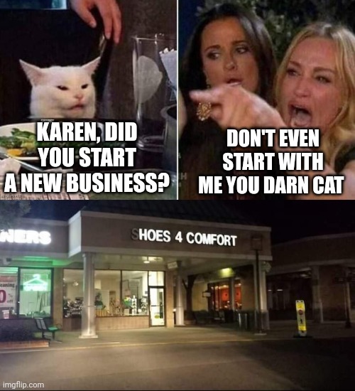 DON'T EVEN START WITH ME YOU DARN CAT; KAREN, DID YOU START A NEW BUSINESS? | image tagged in reverse smudge that darn cat | made w/ Imgflip meme maker