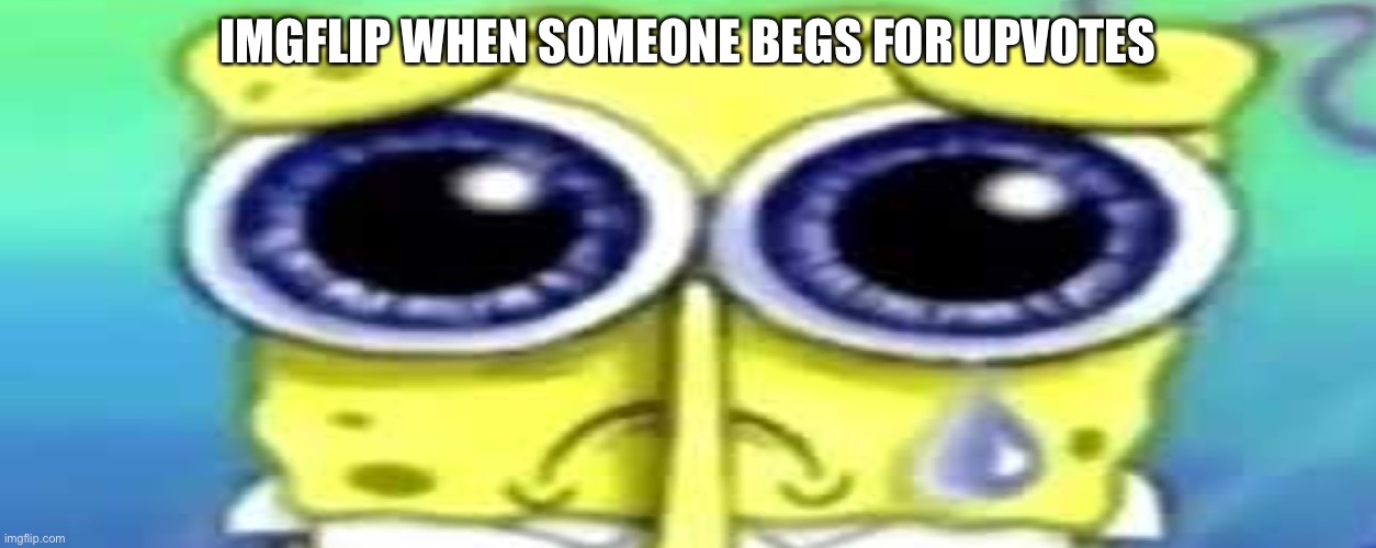 Sad Spong | IMGFLIP WHEN SOMEONE BEGS FOR UPVOTES | image tagged in sad spong | made w/ Imgflip meme maker
