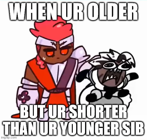 crk accurate memes | WHEN UR OLDER; BUT UR SHORTER THAN UR YOUNGER SIB | image tagged in cookie run kingdom | made w/ Imgflip meme maker