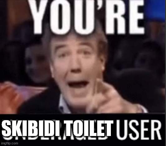 You’re underage user | SKIBIDI TOILET | image tagged in you re underage user | made w/ Imgflip meme maker