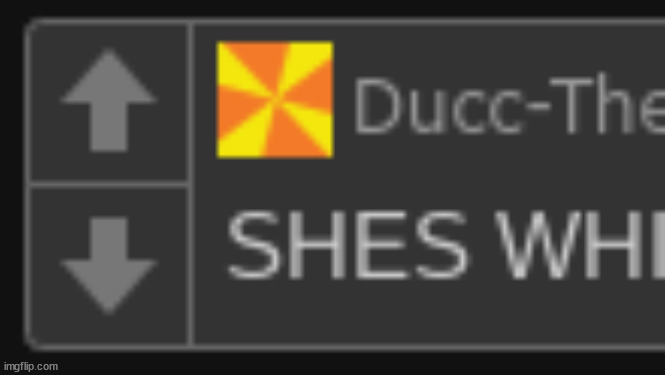 SHES WHILE | image tagged in shes white | made w/ Imgflip meme maker