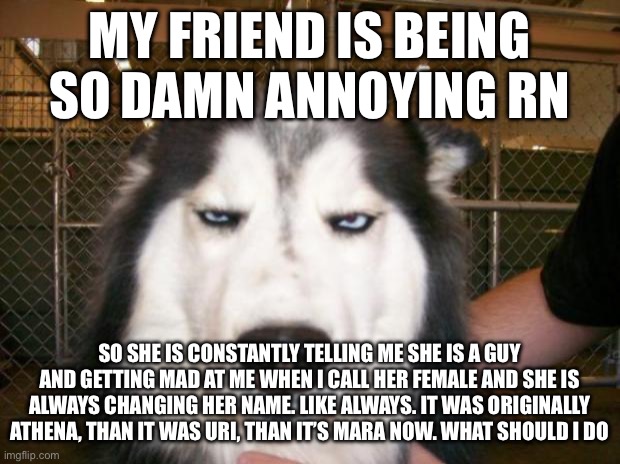 Bruh | MY FRIEND IS BEING SO DAMN ANNOYING RN; SO SHE IS CONSTANTLY TELLING ME SHE IS A GUY AND GETTING MAD AT ME WHEN I CALL HER FEMALE AND SHE IS ALWAYS CHANGING HER NAME. LIKE ALWAYS. IT WAS ORIGINALLY ATHENA, THAN IT WAS URI, THAN IT’S MARA NOW. WHAT SHOULD I DO | image tagged in annoyed dog | made w/ Imgflip meme maker