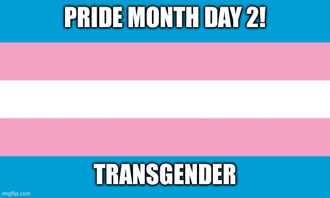 Transgender | PRIDE MONTH DAY 2! TRANSGENDER | image tagged in transgender flag | made w/ Imgflip meme maker