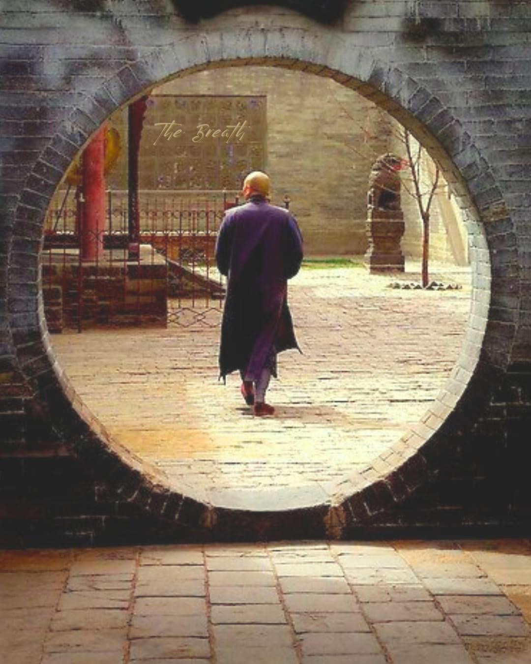 Monk Blank Meme Template