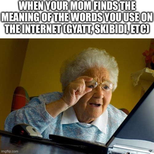 WHEN YOUR MOM FINDS THE MEANING OF THE WORDS YOU USE ON THE INTERNET (GYATT, SKIBIDI, ETC) | image tagged in memes,grandma finds the internet,oh no,oof,whip,run | made w/ Imgflip meme maker