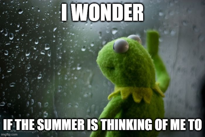 Kermit the frog | I WONDER; IF THE SUMMER IS THINKING OF ME TO | image tagged in kermit window | made w/ Imgflip meme maker