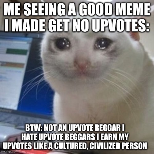 Crying cat | ME SEEING A GOOD MEME I MADE GET NO UPVOTES:; BTW: NOT AN UPVOTE BEGGAR I HATE UPVOTE BEGGARS I EARN MY UPVOTES LIKE A CULTURED, CIVILIZED PERSON | image tagged in crying cat | made w/ Imgflip meme maker