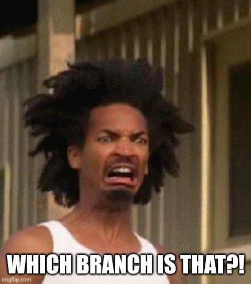 Disgusted Face | WHICH BRANCH IS THAT?! | image tagged in disgusted face | made w/ Imgflip meme maker