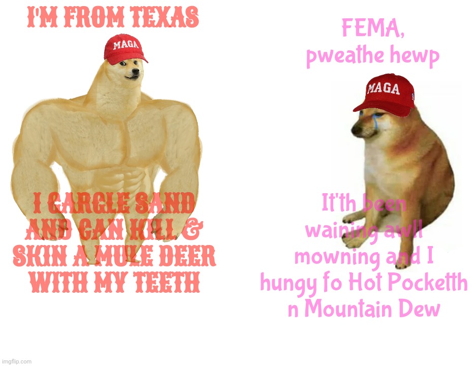 Buff Doge vs. Cheems Meme | I'M FROM TEXAS FEMA, pweathe hewp I GARGLE SAND AND CAN KILL &
SKIN A MULE DEER
WITH MY TEETH It'th been waining awll mowning and I hungy fo | image tagged in memes,buff doge vs cheems | made w/ Imgflip meme maker