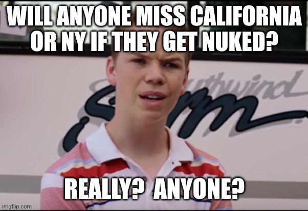 You Guys are Getting Paid | WILL ANYONE MISS CALIFORNIA OR NY IF THEY GET NUKED? REALLY?  ANYONE? | image tagged in you guys are getting paid | made w/ Imgflip meme maker