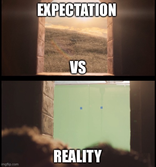 EXPECTATION; VS; REALITY | image tagged in the chosen,lamb,expectation vs reality | made w/ Imgflip meme maker