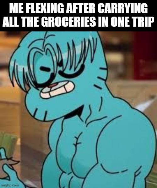 flexing | ME FLEXING AFTER CARRYING ALL THE GROCERIES IN ONE TRIP | image tagged in memes | made w/ Imgflip meme maker