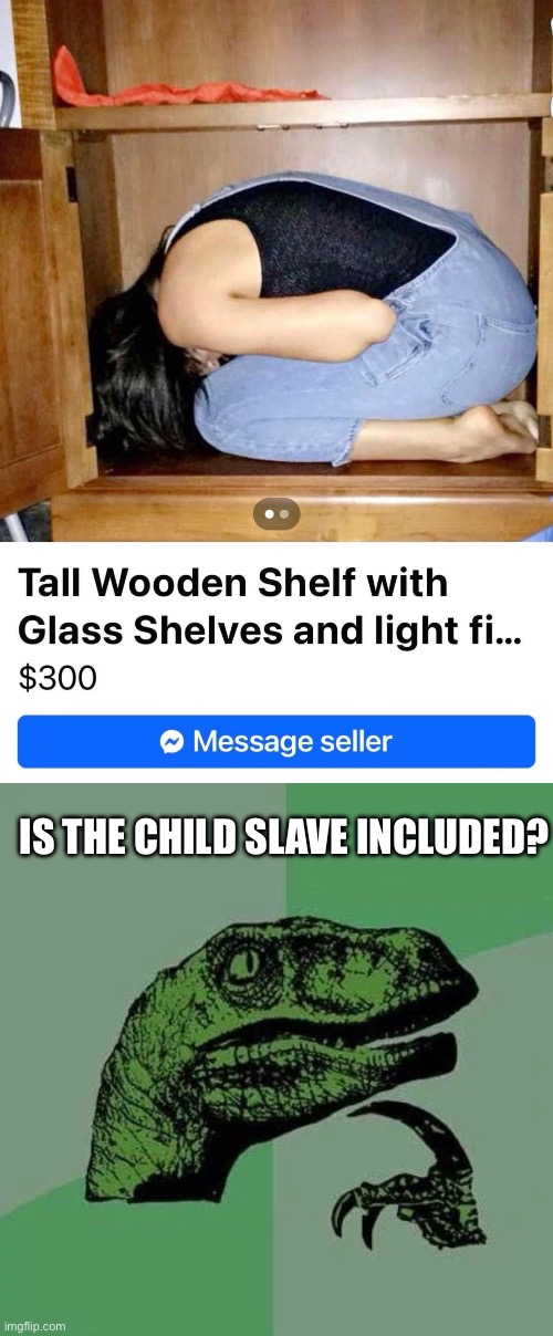Included? | IS THE CHILD SLAVE INCLUDED? | image tagged in raptor asking questions,child,slave | made w/ Imgflip meme maker