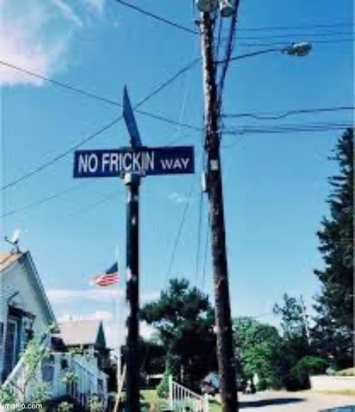 NO FRICKIN way | image tagged in no frickin way | made w/ Imgflip meme maker