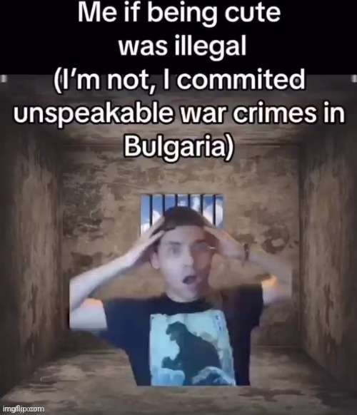 made w/ Imgflip meme maker