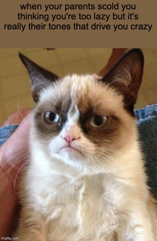 We teenagers are all like this, yes I see you | when your parents scold you thinking you're too lazy but it's really their tones that drive you crazy | image tagged in memes,grumpy cat | made w/ Imgflip meme maker