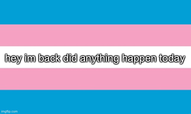 :3? | hey im back did anything happen today | image tagged in transgender flag | made w/ Imgflip meme maker