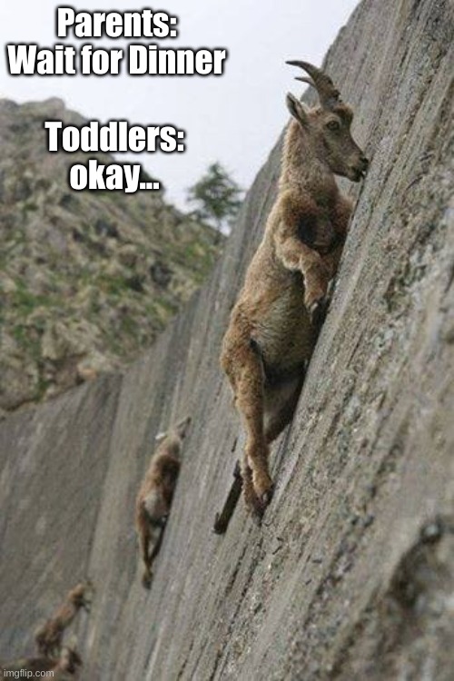 Wait for Dinner | Parents: Wait for Dinner; Toddlers: okay... | image tagged in mountain goats | made w/ Imgflip meme maker