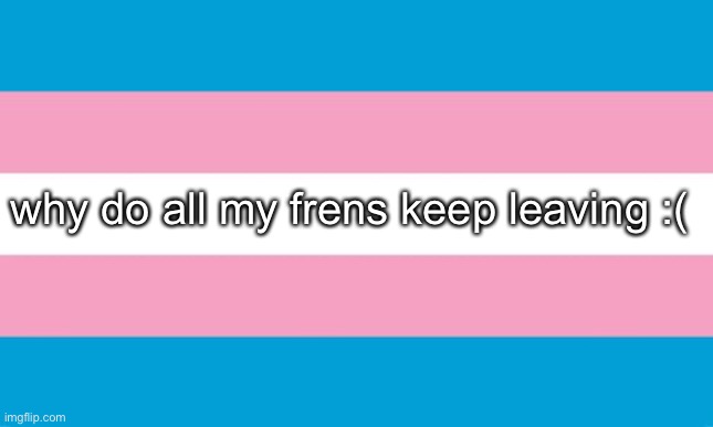 im sad | why do all my frens keep leaving :( | image tagged in transgender flag | made w/ Imgflip meme maker
