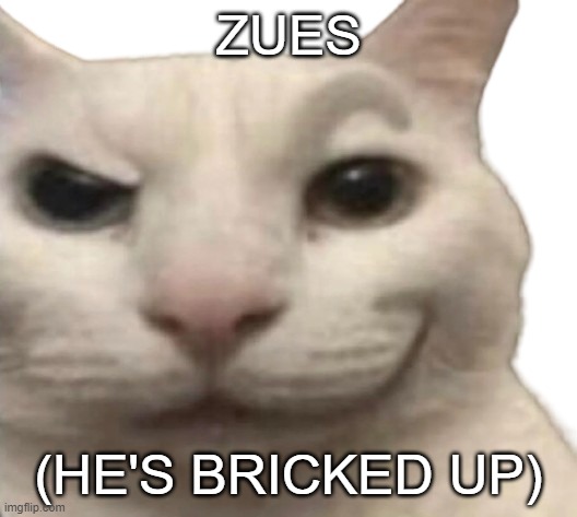 cat rizz transparent | ZUES (HE'S BRICKED UP) | image tagged in cat rizz transparent | made w/ Imgflip meme maker