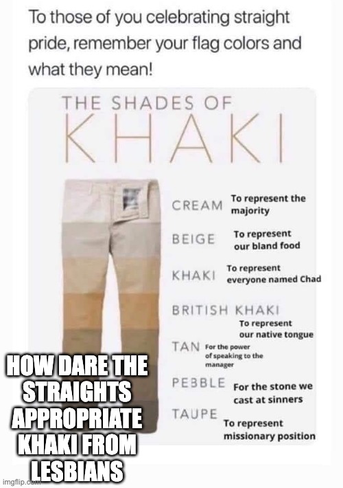 Straight pride? | HOW DARE THE 
STRAIGHTS 
APPROPRIATE 
KHAKI FROM 
LESBIANS | image tagged in pride month,gay pride | made w/ Imgflip meme maker