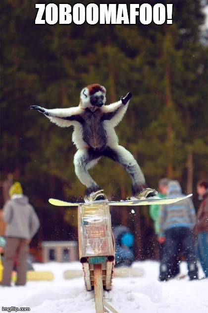 image tagged in funny,monkeys,snowboarding,extreme sports | made w/ Imgflip meme maker