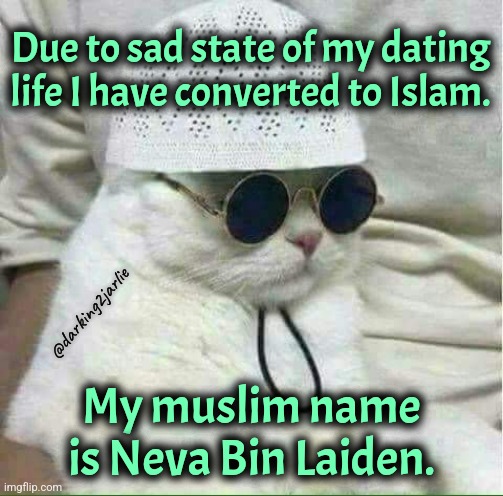 Imma banging virgins in heaven y'all | Due to sad state of my dating life I have converted to Islam. @darking2jarlie; My muslim name is Neva Bin Laiden. | image tagged in muslim cat,single,virgin,virgins,dark | made w/ Imgflip meme maker