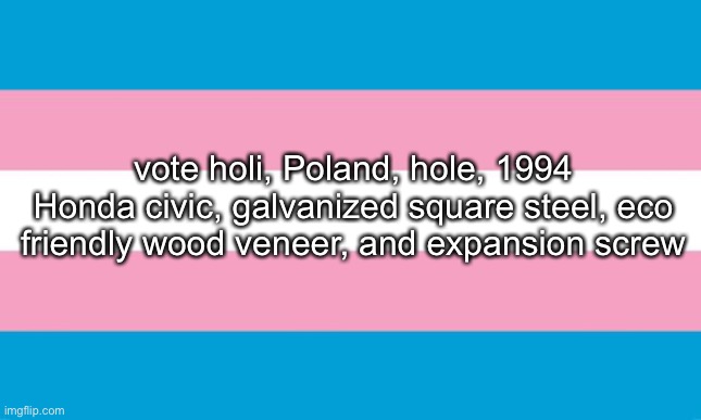 stupid object show i made | vote holi, Poland, hole, 1994 Honda civic, galvanized square steel, eco friendly wood veneer, and expansion screw | image tagged in transgender flag | made w/ Imgflip meme maker
