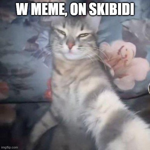 $RIZZY | W MEME, ON SKIBIDI | image tagged in rizzy | made w/ Imgflip meme maker