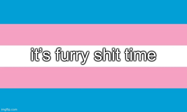 telling me to stop will make me do more | it’s furry shit time | image tagged in transgender flag | made w/ Imgflip meme maker