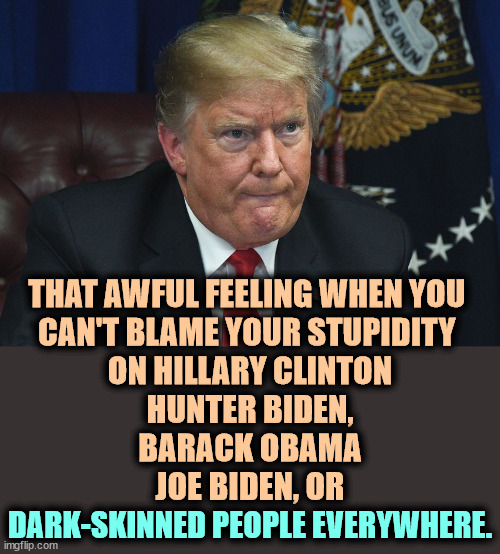 THAT AWFUL FEELING WHEN YOU 

CAN'T BLAME YOUR STUPIDITY 
ON HILLARY CLINTON
HUNTER BIDEN,
BARACK OBAMA
JOE BIDEN, OR; DARK-SKINNED PEOPLE EVERYWHERE. | image tagged in trump,convicted felon,stupid,incompetence,alibi,scapegoat | made w/ Imgflip meme maker