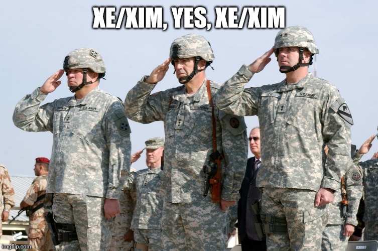Soldiers Salute | XE/XIM, YES, XE/XIM | image tagged in soldiers salute | made w/ Imgflip meme maker
