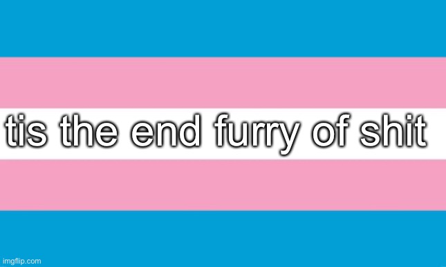 Transgender Flag | tis the end furry of shit | image tagged in transgender flag | made w/ Imgflip meme maker
