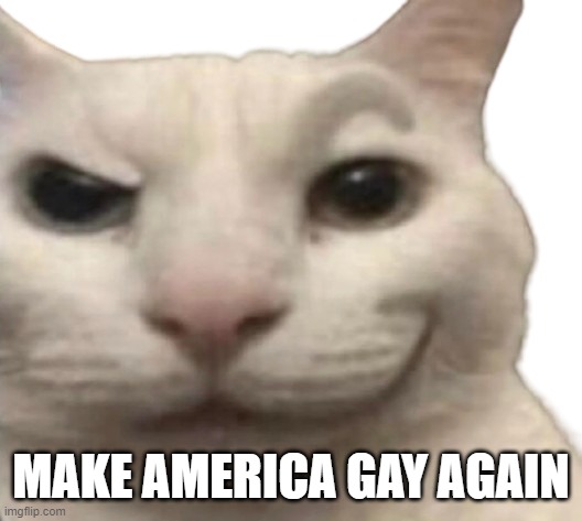 cat rizz transparent | MAKE AMERICA GAY AGAIN | image tagged in cat rizz transparent | made w/ Imgflip meme maker