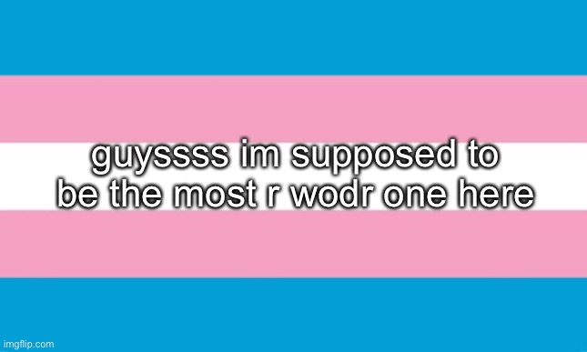 Transgender Flag | guyssss im supposed to be the most r wodr one here | image tagged in transgender flag | made w/ Imgflip meme maker