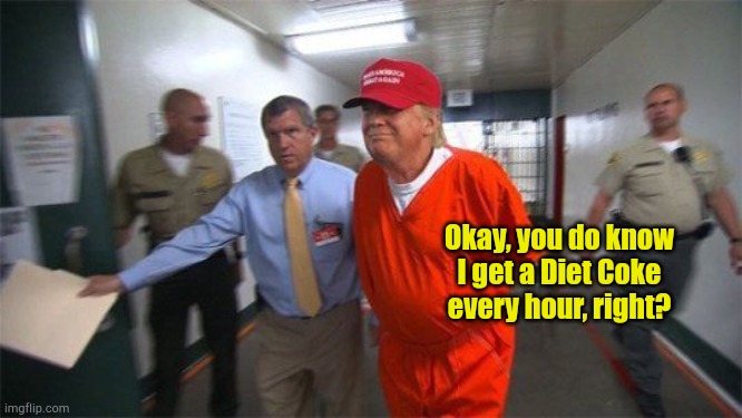 Special prison diet | Okay, you do know I get a Diet Coke every hour, right? | image tagged in trump prison | made w/ Imgflip meme maker