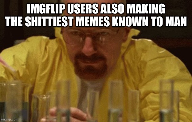 Walter White Cooking | IMGFLIP USERS ALSO MAKING THE SHITTIEST MEMES KNOWN TO MAN | image tagged in walter white cooking | made w/ Imgflip meme maker