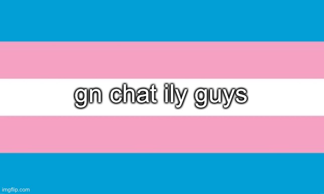 special gn to lala <3 | gn chat ily guys | image tagged in transgender flag | made w/ Imgflip meme maker