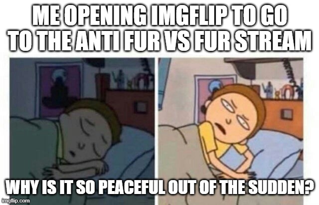 i just went in imgflip after like a week? | ME OPENING IMGFLIP TO GO TO THE ANTI FUR VS FUR STREAM; WHY IS IT SO PEACEFUL OUT OF THE SUDDEN? | image tagged in morty waking up | made w/ Imgflip meme maker